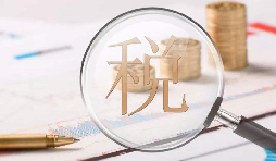 電子稅務(wù)局1月新增重點(diǎn)功能！速看！