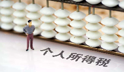 如何在網(wǎng)上打印個(gè)人所得稅納稅記錄？