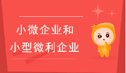 小微企業(yè)和小型微利企業(yè)有什么區(qū)別？