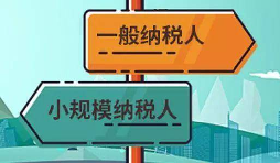 注冊公司是選擇一般納稅人還是小規(guī)模納稅人？